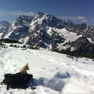 Meet your Posher, Eva